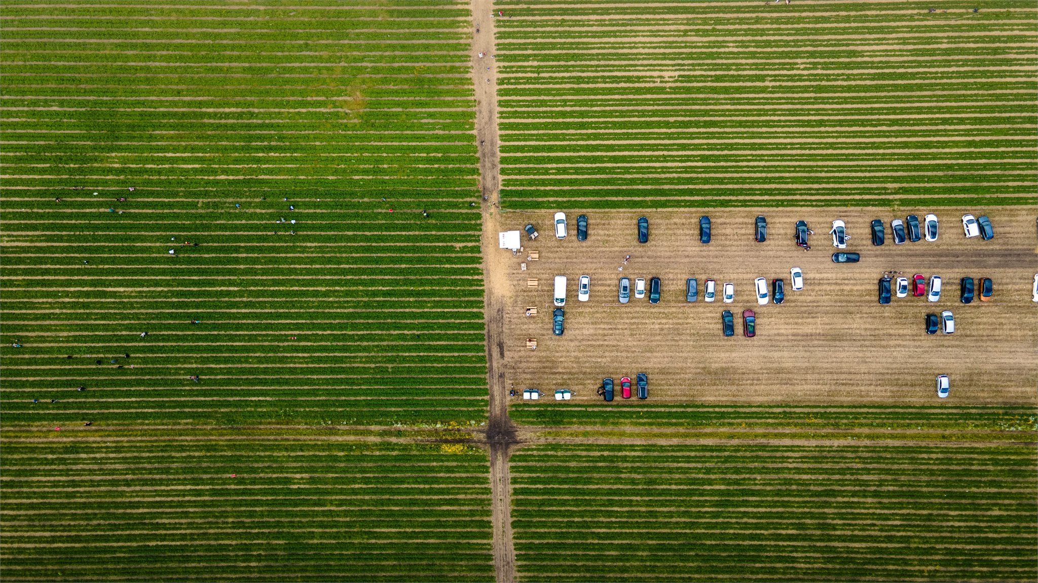 Dronefoto lige ned over en mark med parkerede biler